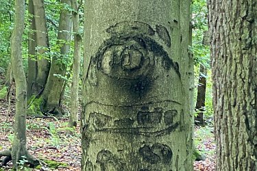 Obrázek č.8